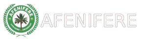 Afenifere US Chapter